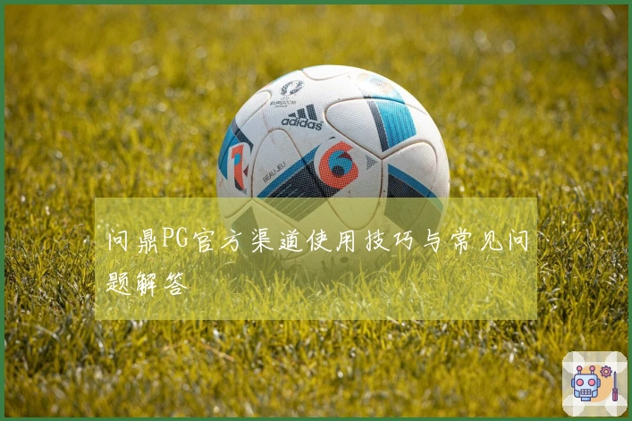 问鼎PG官方渠道使用技巧与常见问题解答