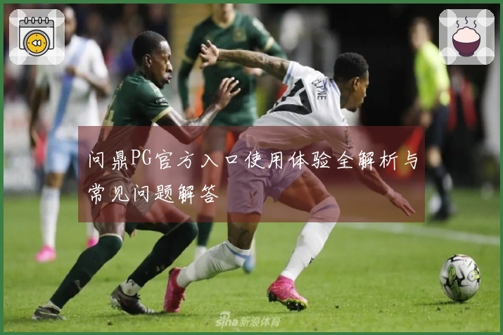 问鼎PG官方入口使用体验全解析与常见问题解答